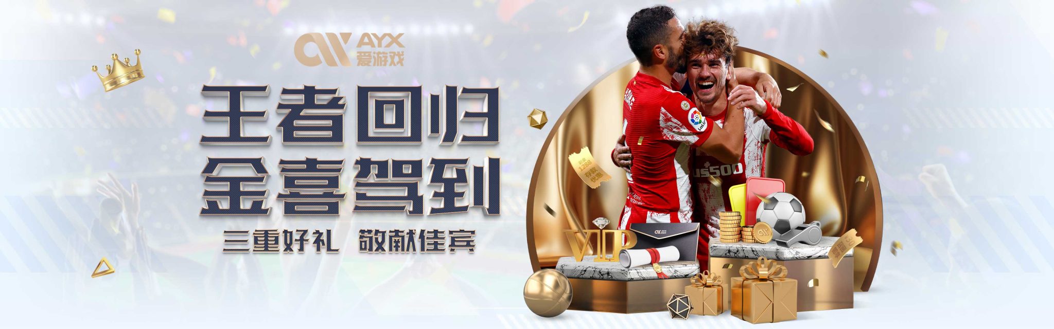职业生涯保